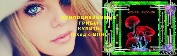 мяу мяу мука Каменка