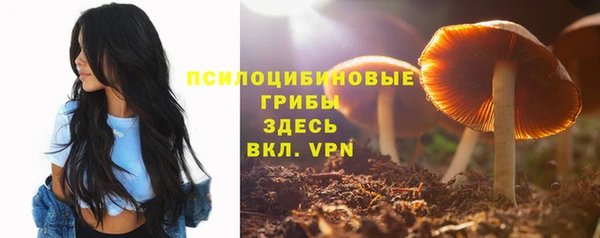 прущая мука Каменногорск