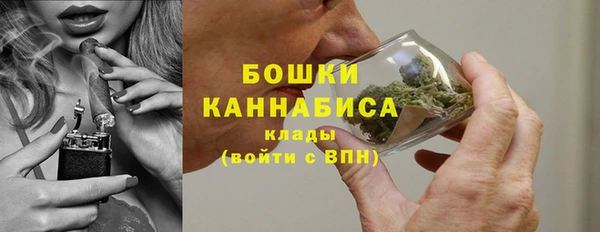 ALPHA PVP Каменск-Шахтинский