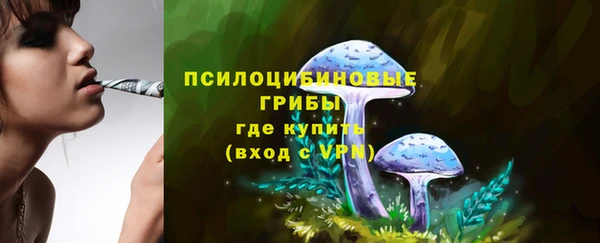 ALPHA PVP Каменск-Шахтинский