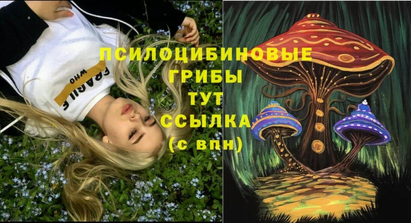 прущая мука Каменногорск