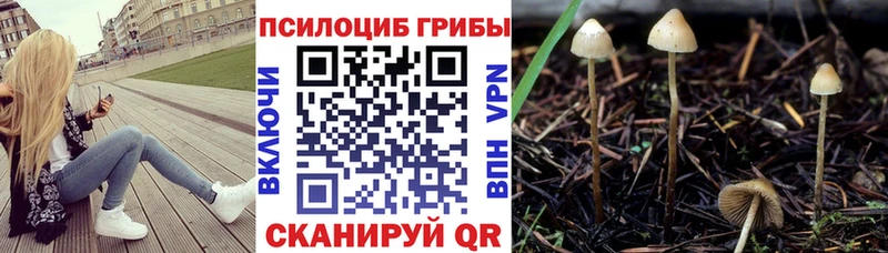 Купить  Княгинино  Галлюциногенные грибы мицелий 